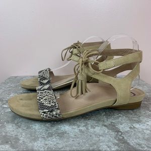 Abeo Sallie Bio System Gladiator Sandal 10N